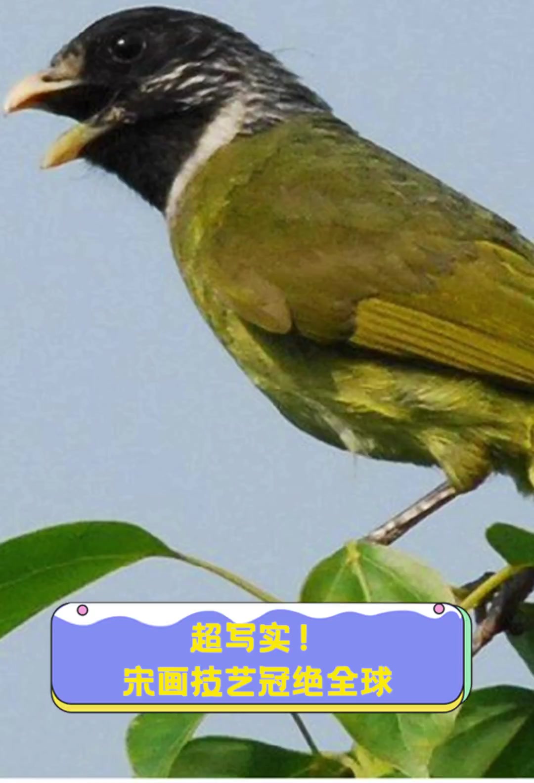 超写实!宋画技艺冠绝全球