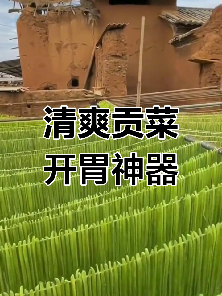 多种吃法让贡菜更美味,清脆开胃必备