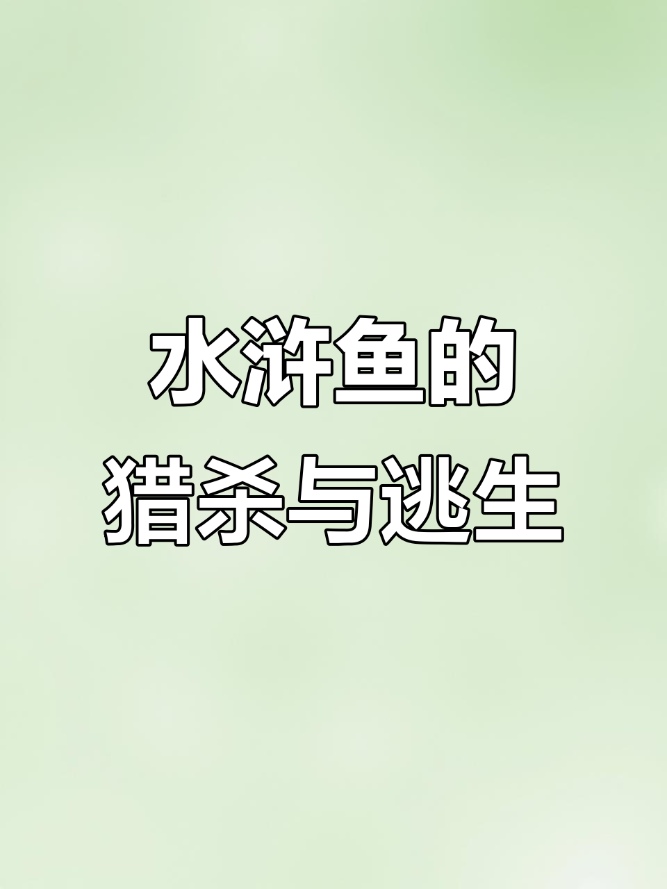 红腹水虎鱼捕食成群,美洲豹偷袭落单水豚