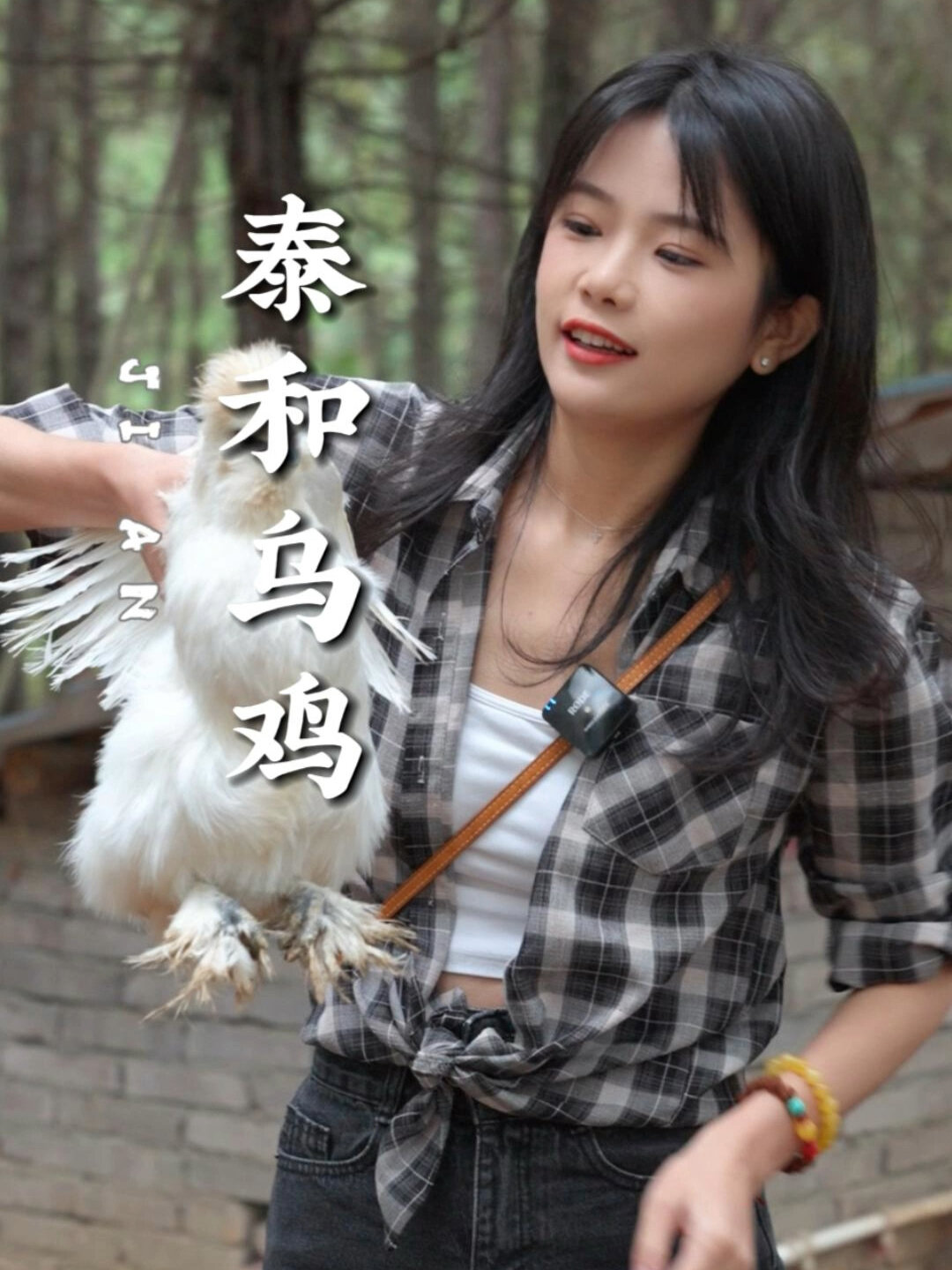 在江西有一个世界乌鸡发源地,吉安泰和