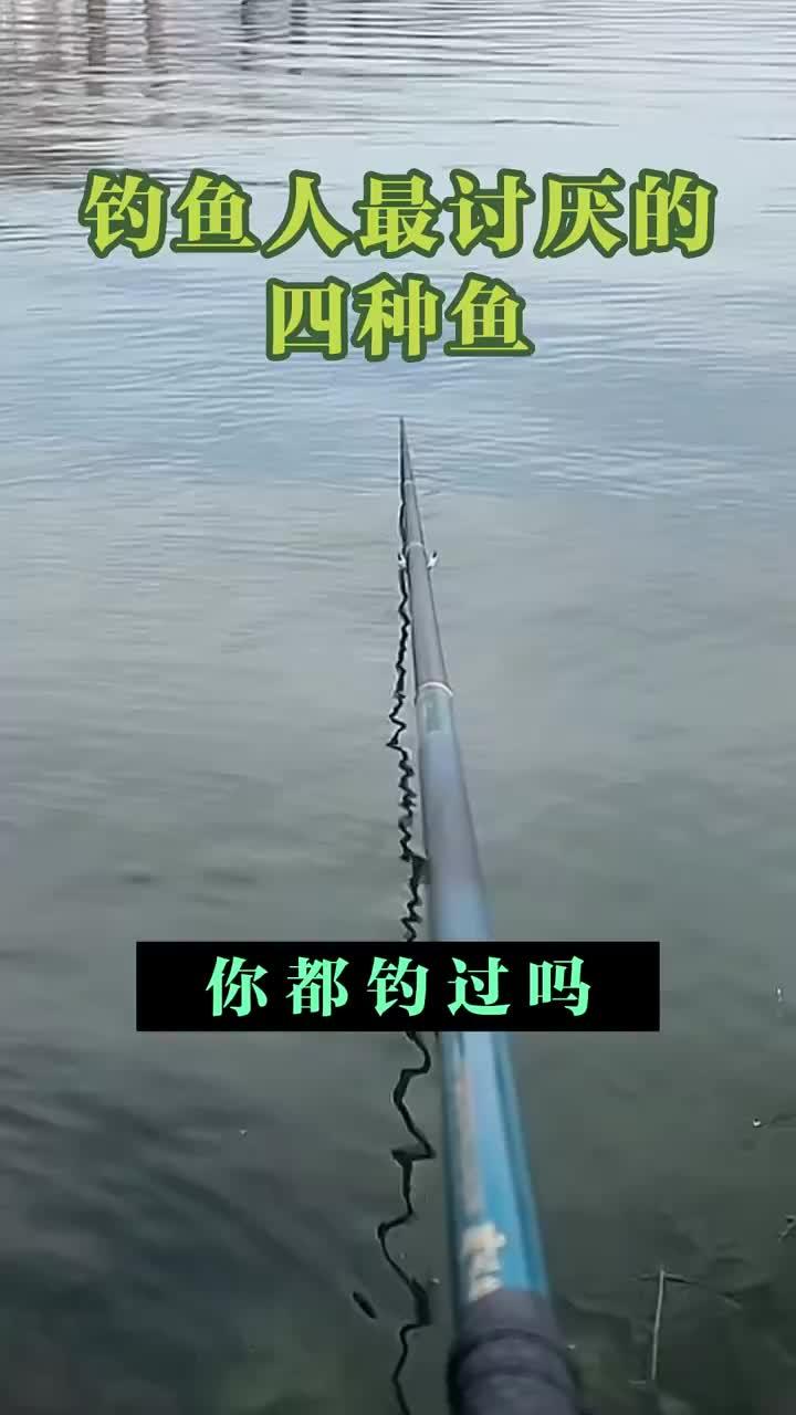 钓鱼人最讨厌的四种鱼!钓鱼人 钓鱼人就是这么疯狂 钓鱼人精神 平东仔活饵 钓鱼狂开口