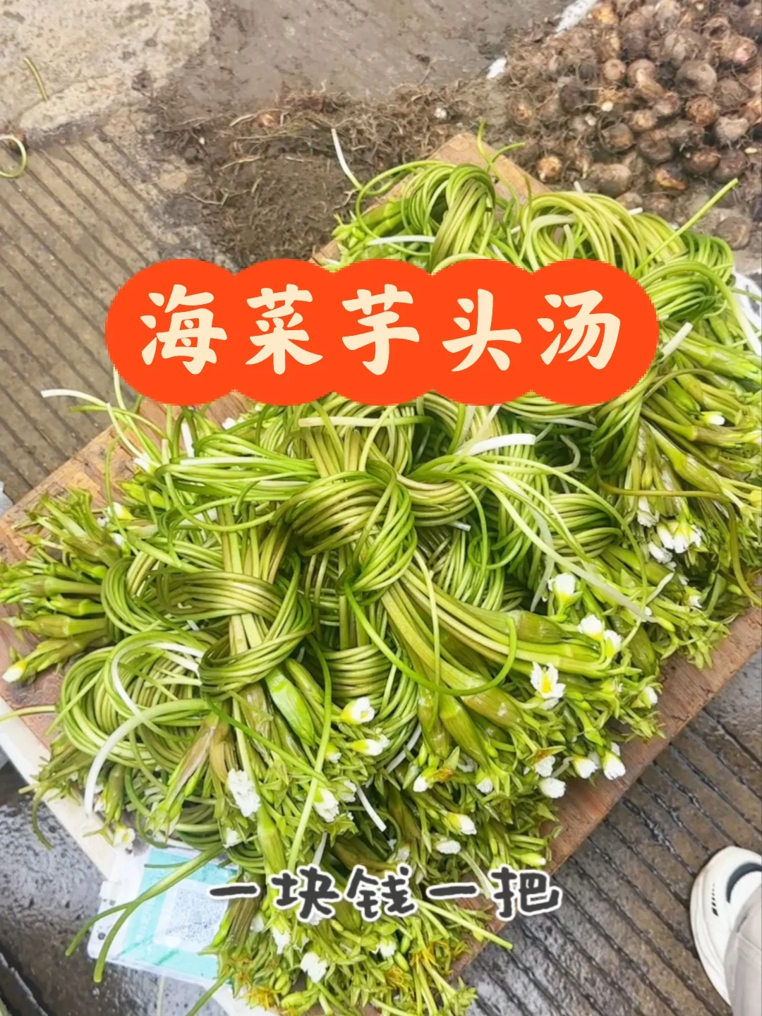 云南人的续命汤海菜芋头汤