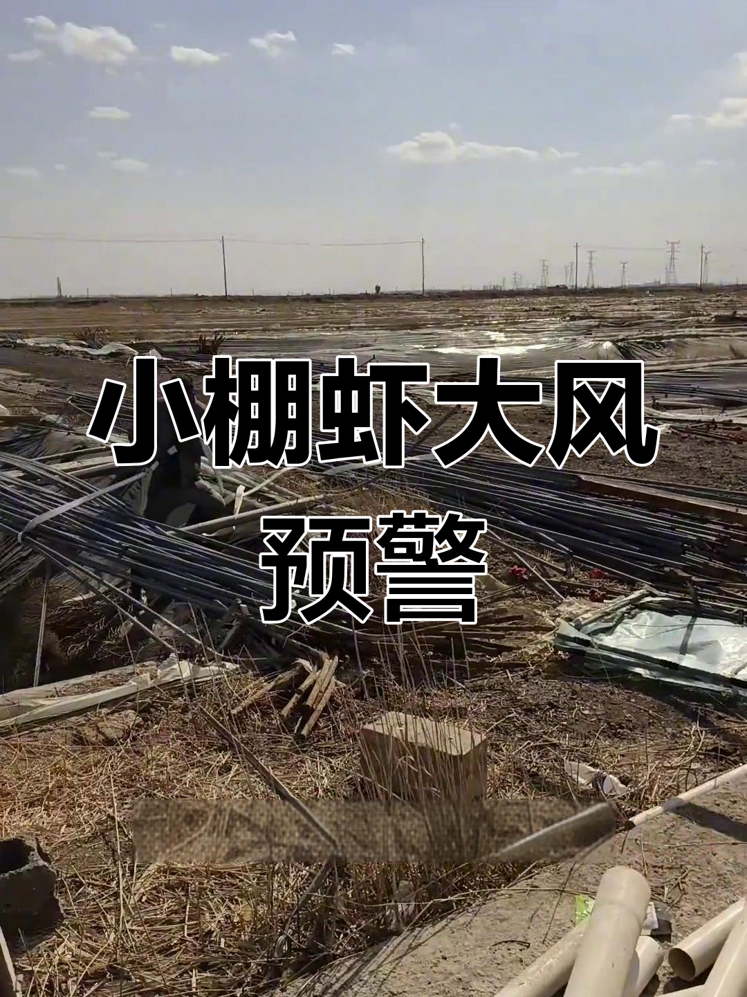 大风来袭!东营小棚虾养殖户注意防风措施
