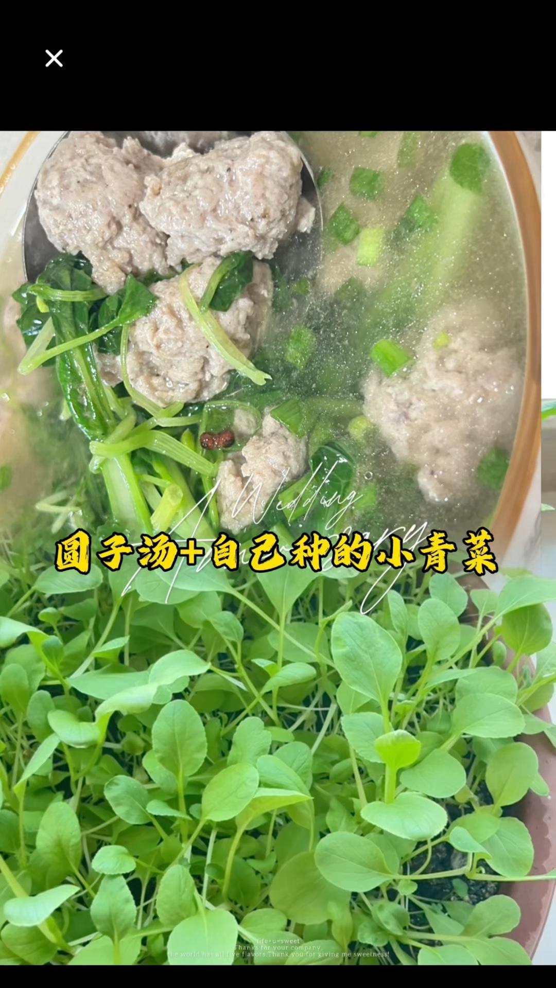 自制营养肉丸汤,搭配新鲜小青菜,美味又健康!