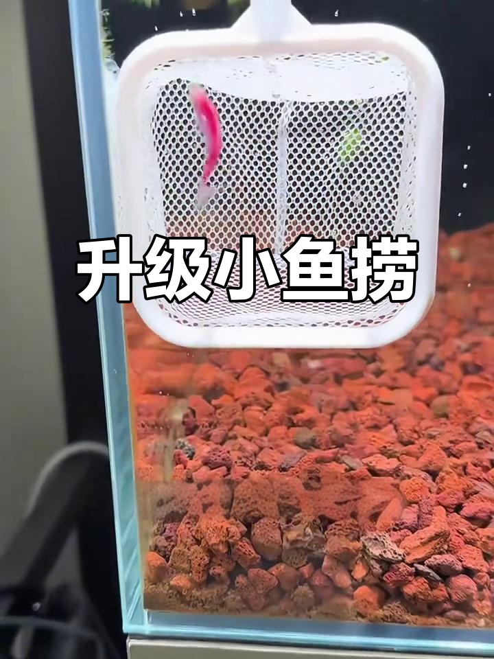 伸缩杆设计,捞鱼更轻松,网兜加深秒变隔离盒!