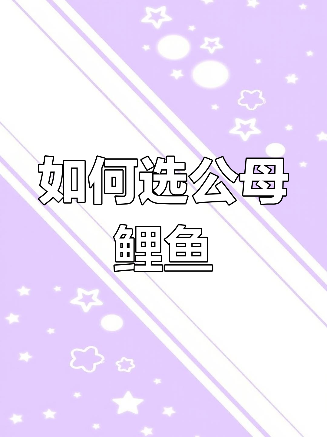 鲤鱼雌雄辨别技巧,如何挑选更划算