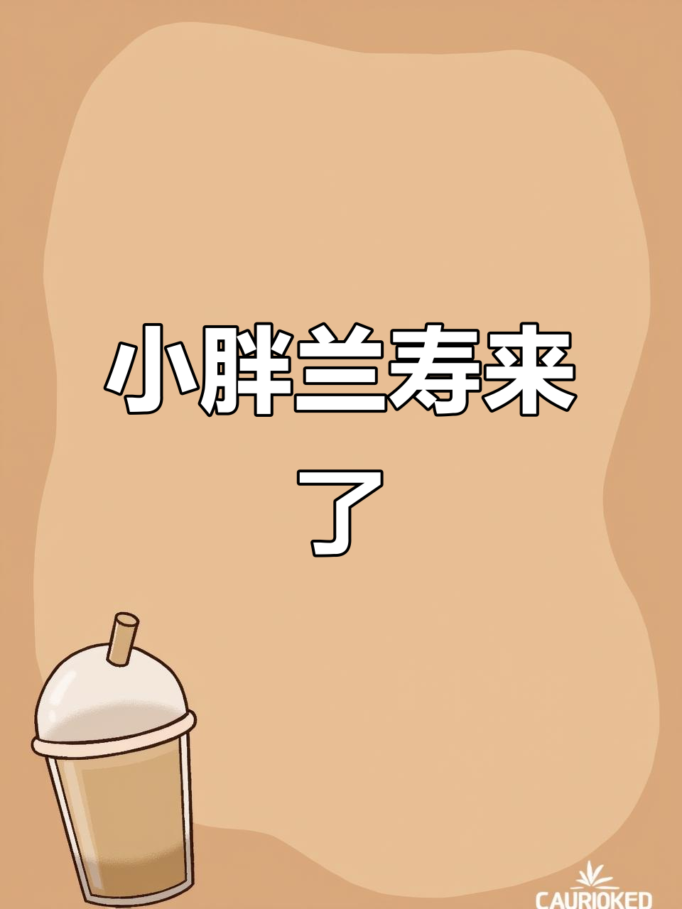 兰寿金鱼发色阶段，肚子圆鼓鼓的萌态十足