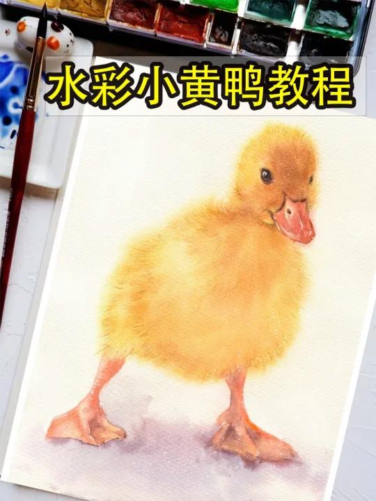 零基础水彩教程水彩手绘小鸭鸭