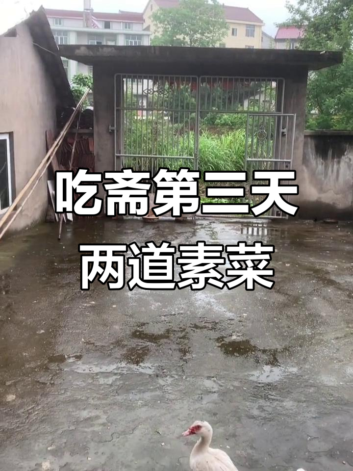 雨天素食大餐,酸辣土豆丝与粉丝汤的完美搭配