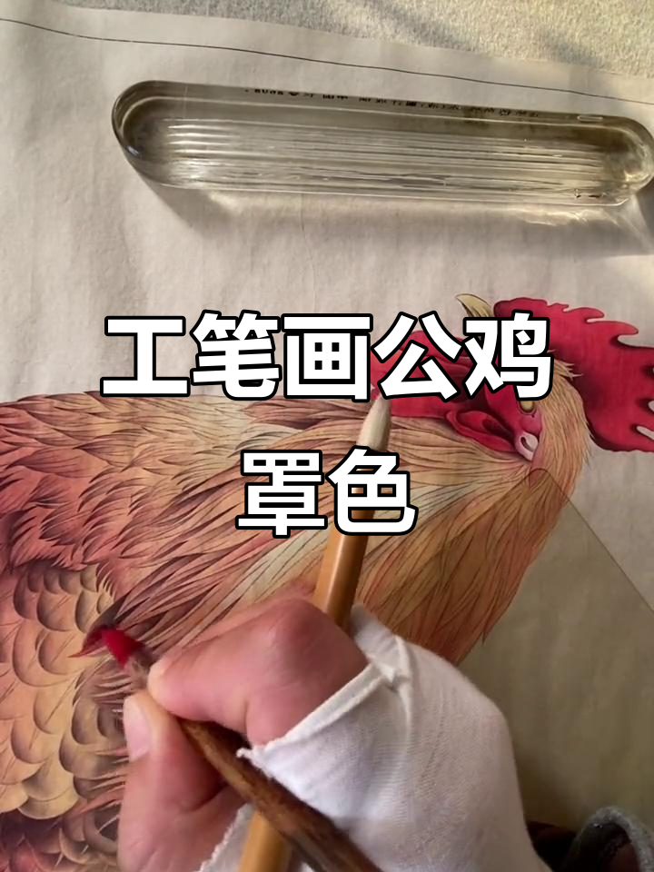 紫郁工笔花鸟公鸡罩色技巧演示