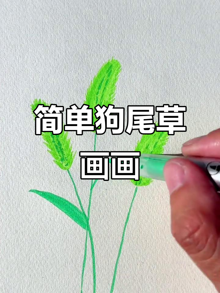 狗尾草简笔画教程，轻松学会画可爱小植物