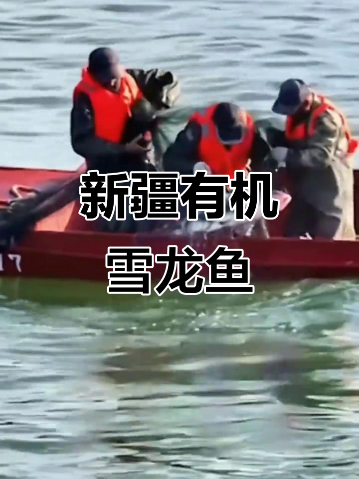 这款雪龙鱼,新鲜无污染,肉质鲜美,老少皆宜