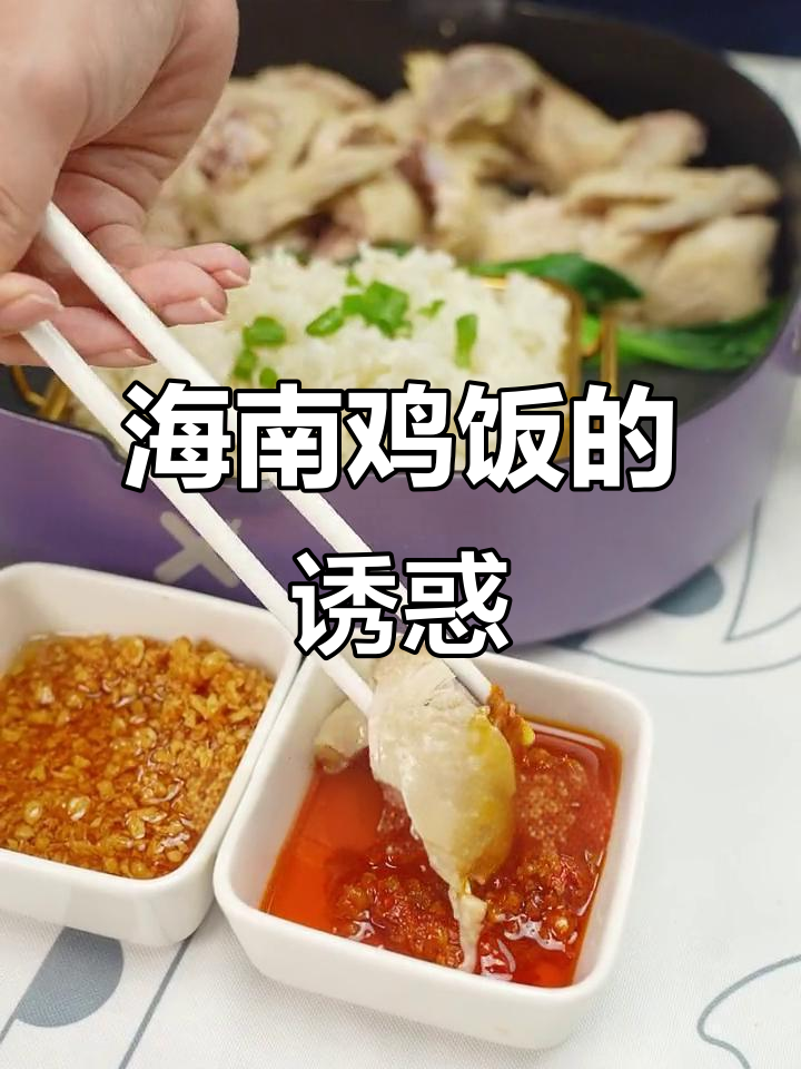 海南鸡饭，香气扑鼻，鸡肉嫩滑，每一口都是极致享受
