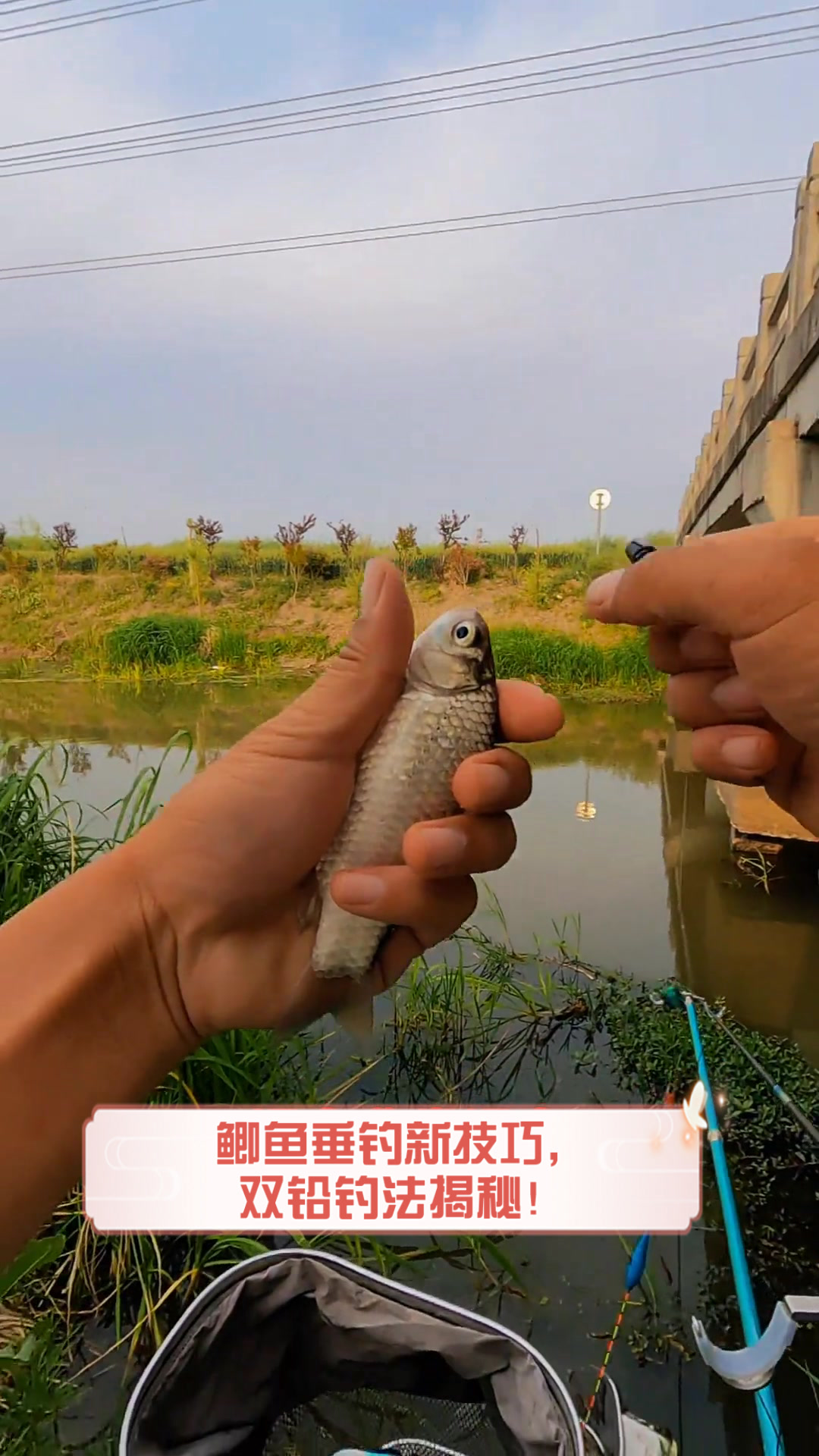 鲫鱼垂钓新技巧，双铅钓法揭秘！