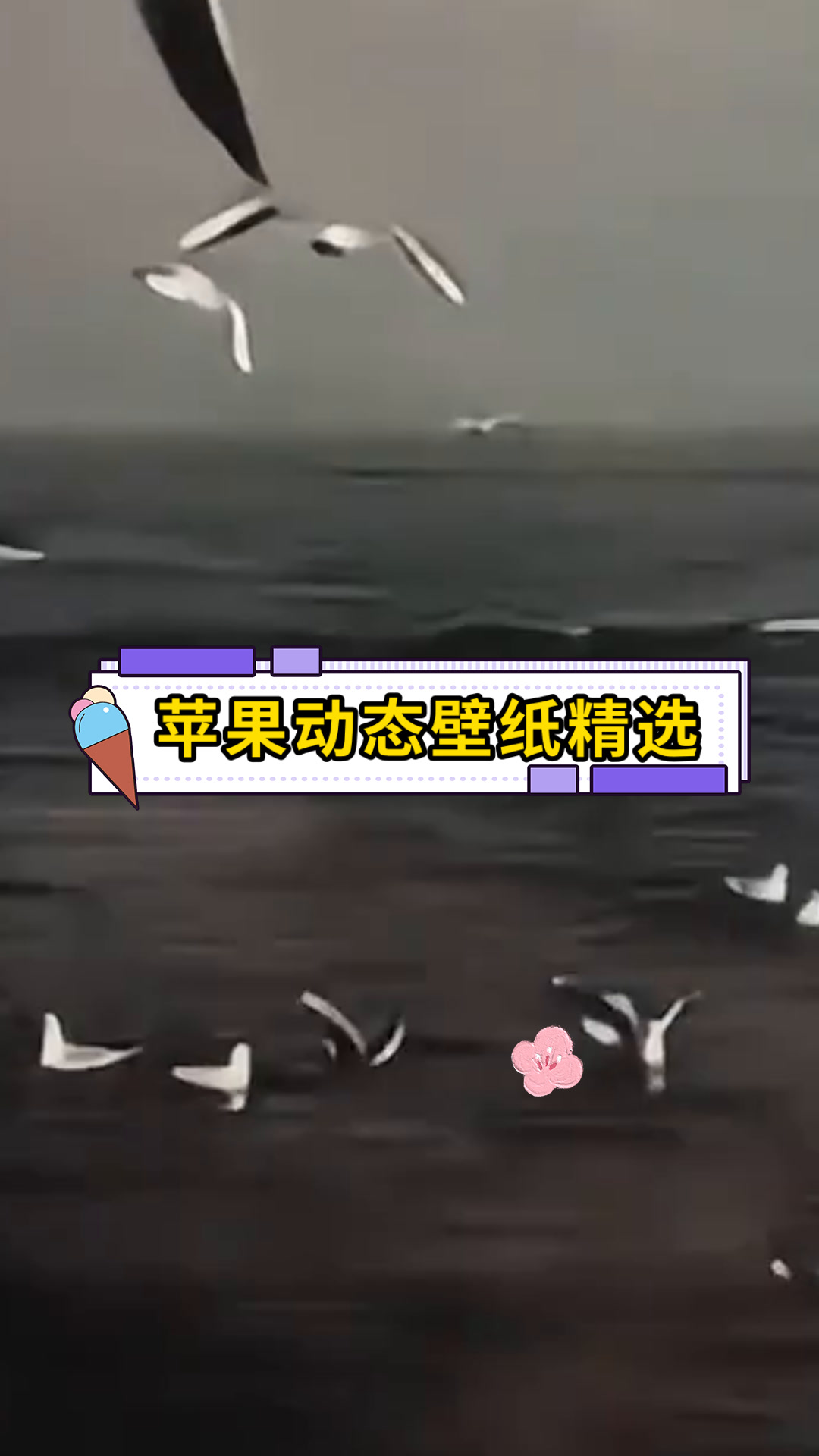 苹果动态壁纸精选