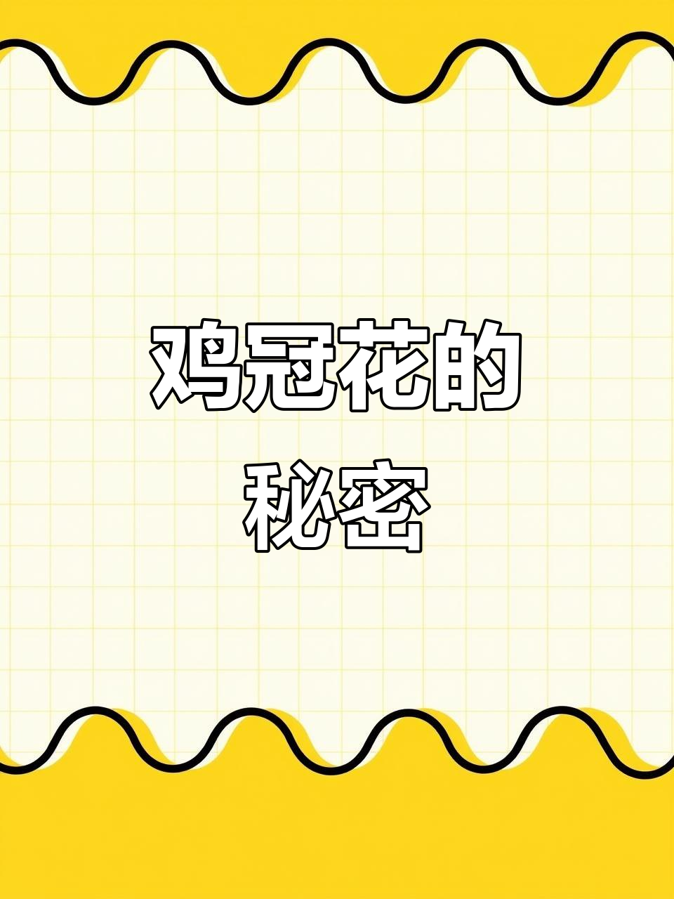 鸡冠花,不仅美丽还具有药用价值,女性朋友应多了解