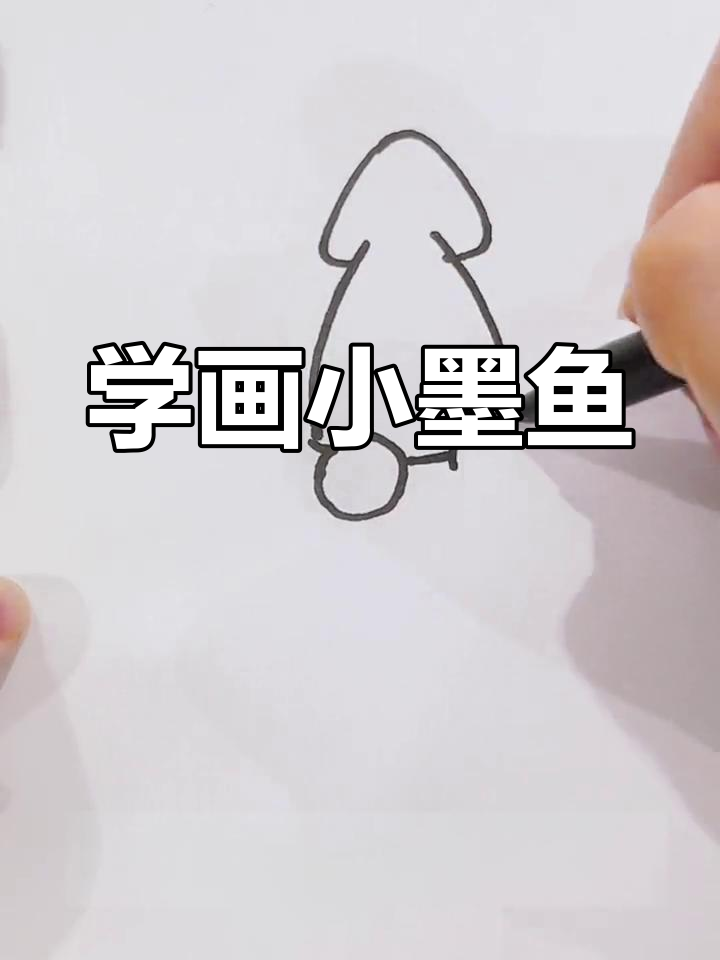 可爱墨鱼简笔画教程