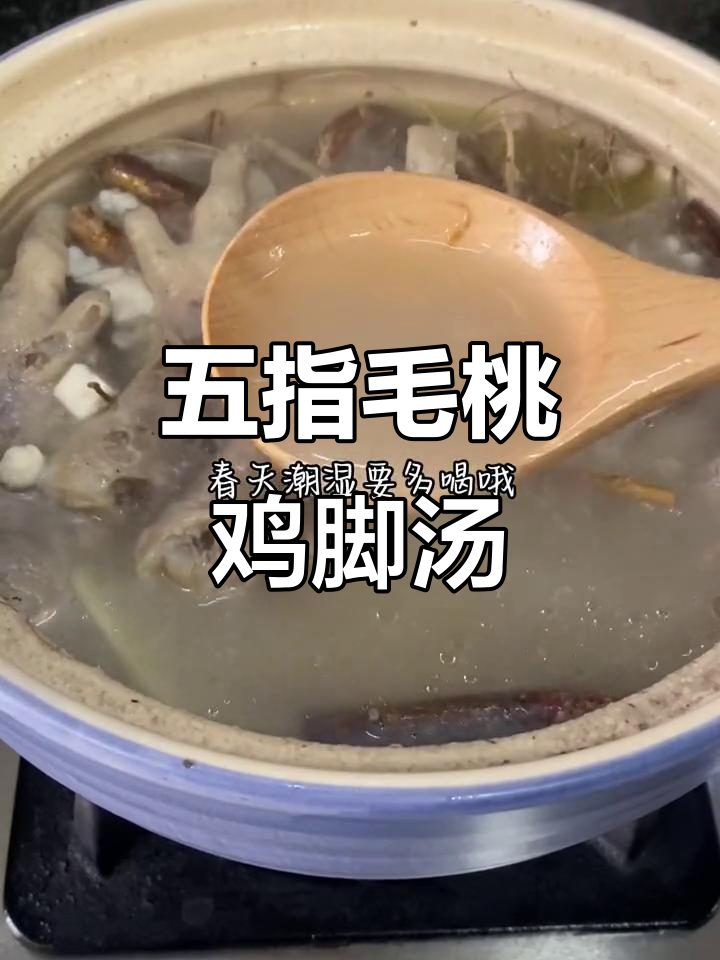 春天潮湿必备五指毛桃鸡脚汤,祛湿又滋补