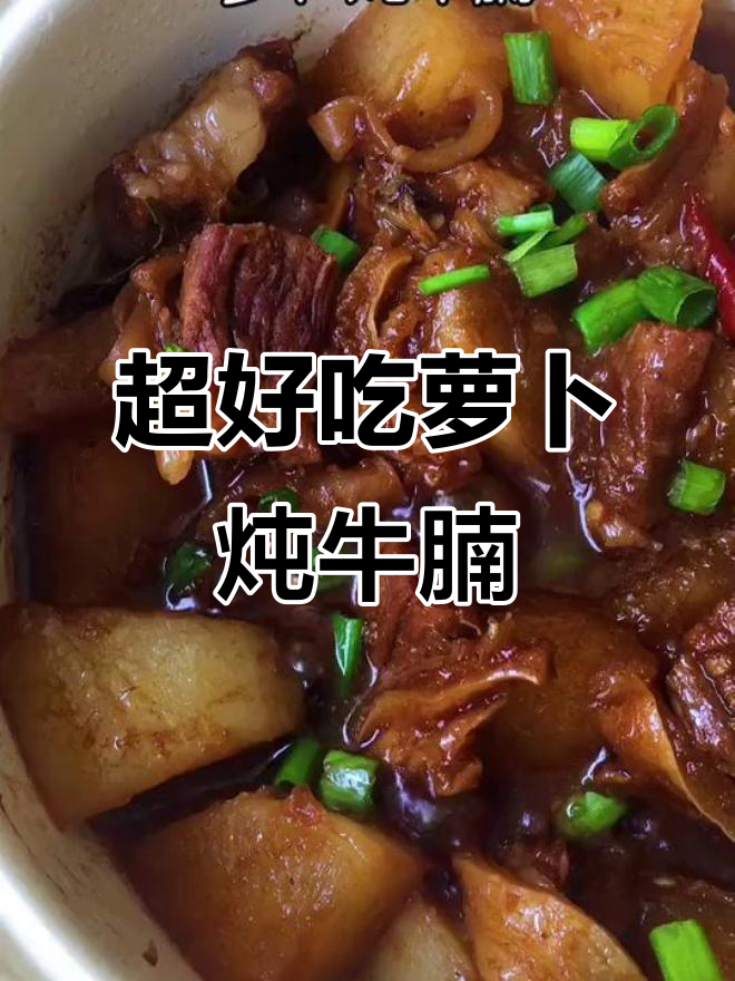 广东街头最火萝卜炖牛腩,做法超简单!