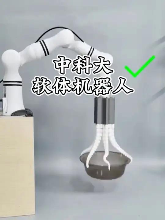 章鱼博士的机器手臂竟然被中科大研究出来了