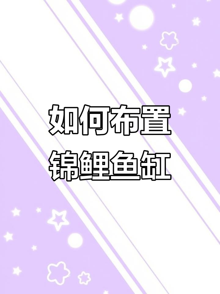 锦鲤鱼缸造景技巧,打造完美水族环境