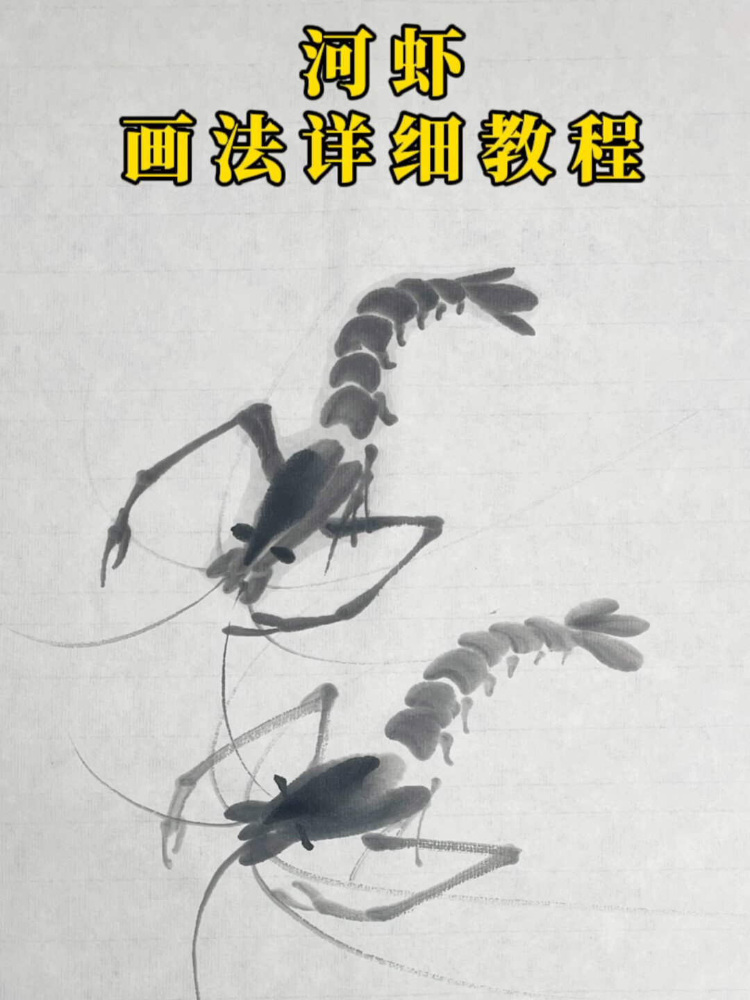 河虾画法详细教程