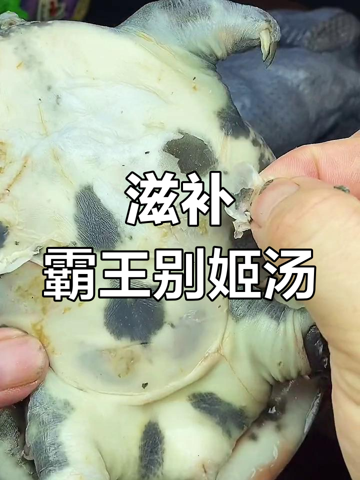 甲鱼乌鸡汤的做法