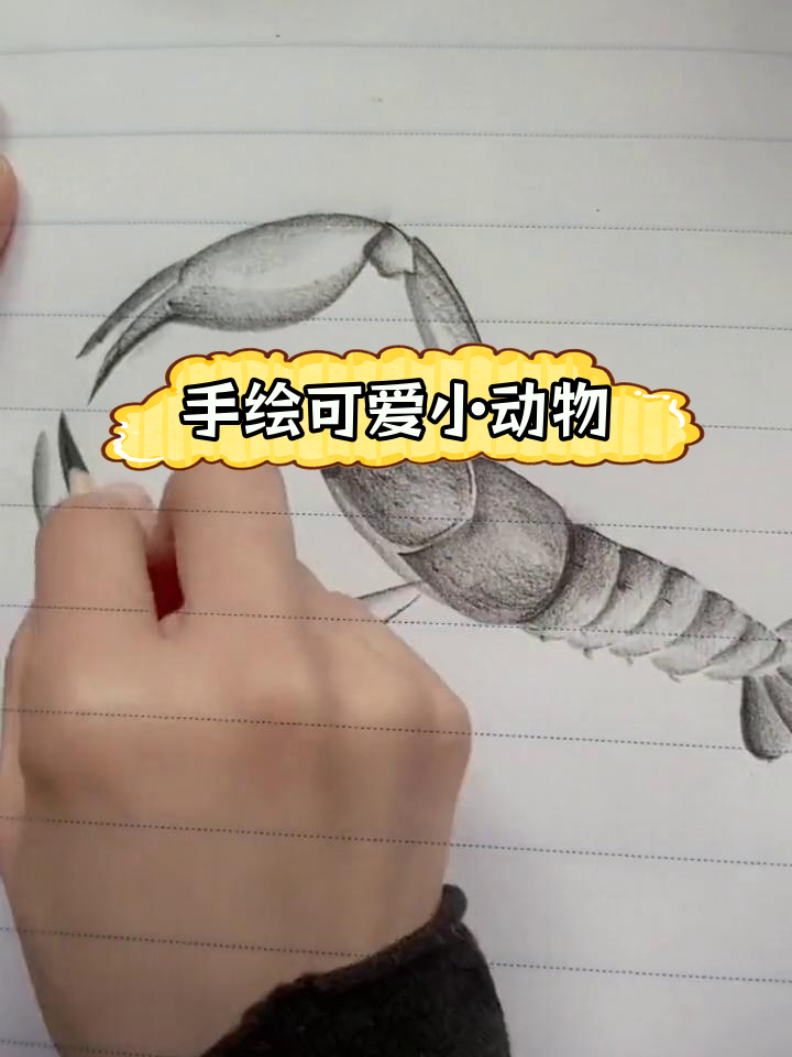 简单彩铅画虾教程