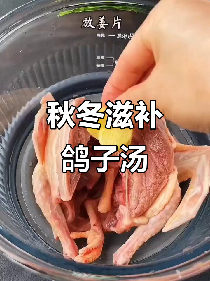 鸽子汤温补秋季最佳,教你如何煲出营养满分的美味