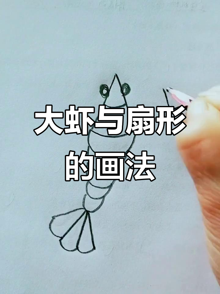 儿童简笔画:从大虾到扇形,轻松学会!