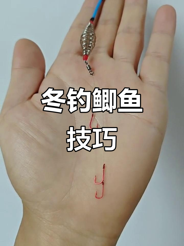 冬季钓鲫鱼,短子线搭配铅坠下方钩位,提升上大鱼的机率