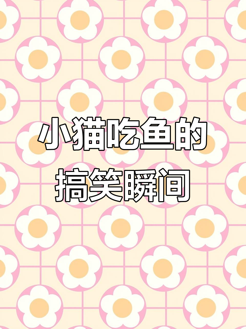 猫咪吃鱼被“教训”，结果太搞笑了！