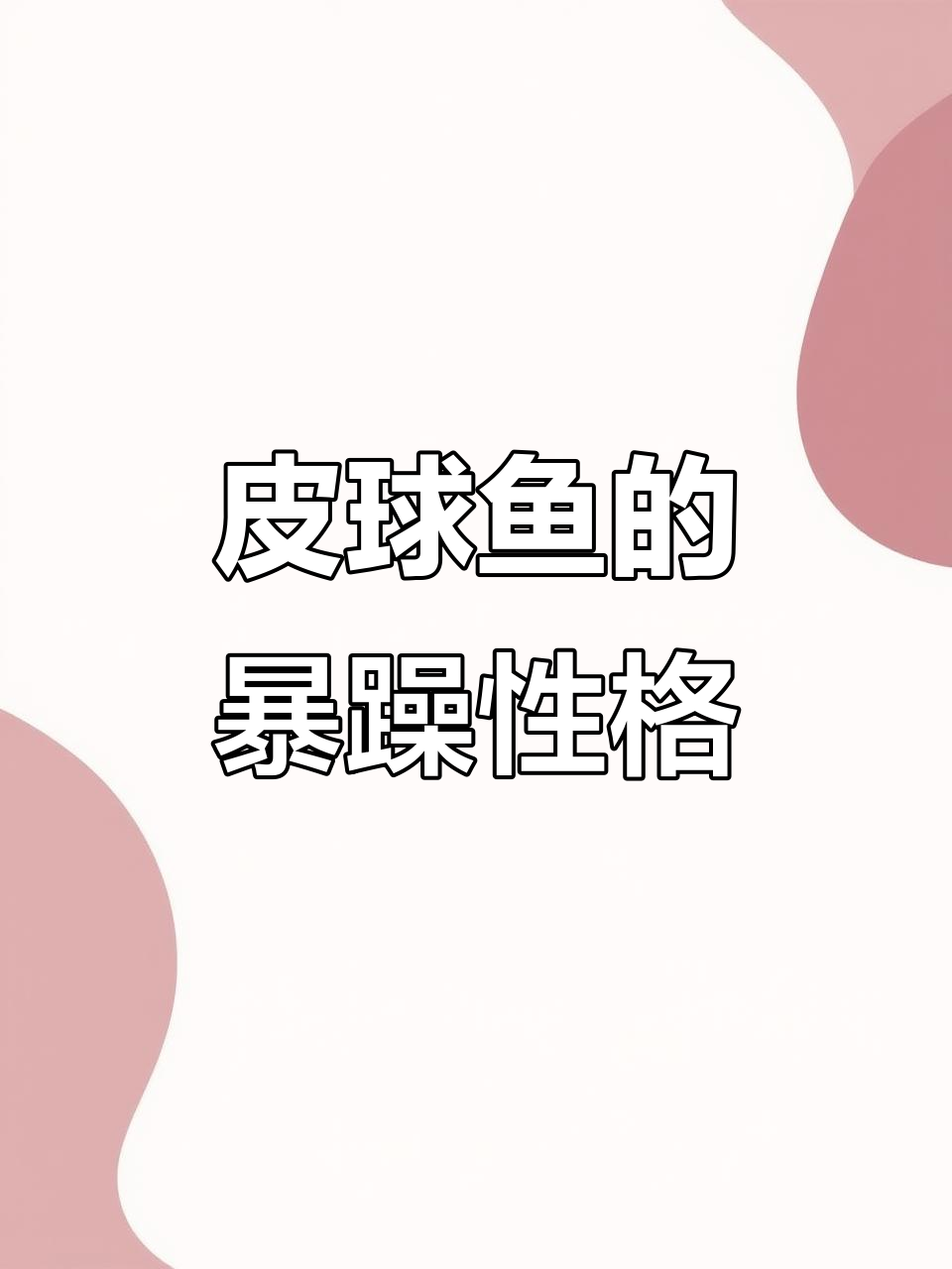 皮球鱼脾气火爆,公母互斗惨烈,孔雀却能和平共处