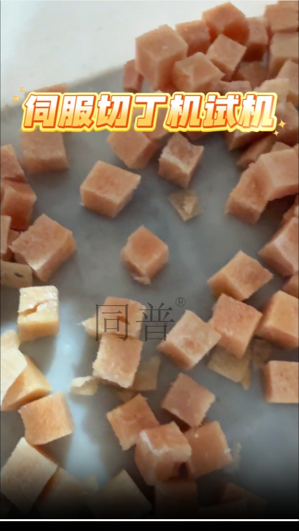 伺服切丁机,冻肉切方块试机,切割尺寸方正,按需定制