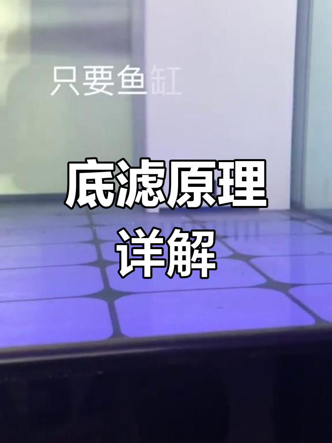 底滤鱼缸循环系统揭秘:如何高效排污与过滤