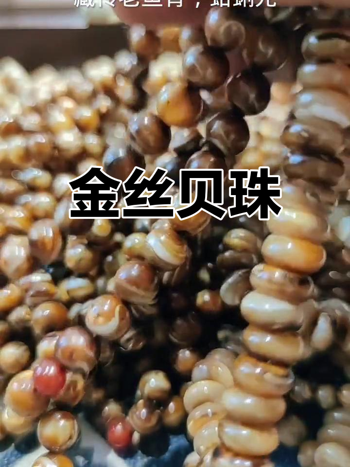 藏传老鱼骨,贝壳类珠子带金丝