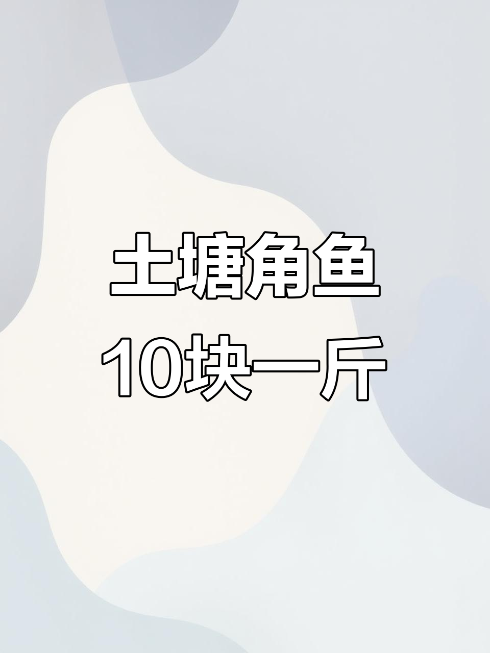 土塘角鱼十元一斤,放下不爱我的你