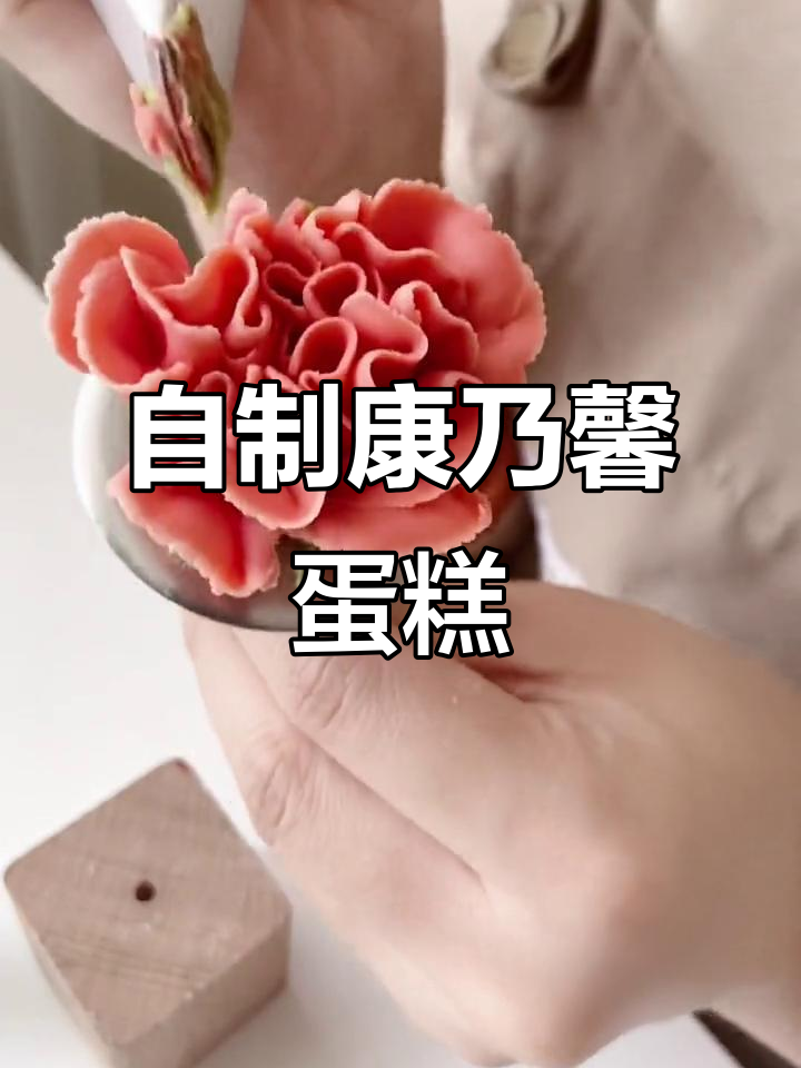 亲手做康乃馨蛋糕,韩式裱花技巧大揭秘