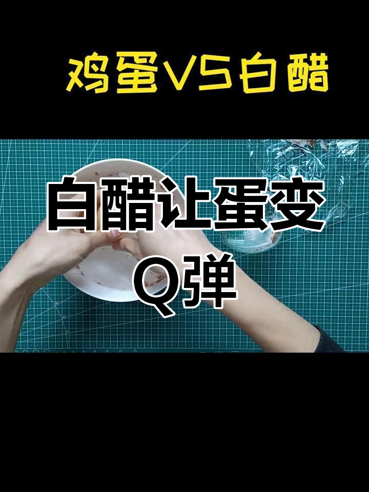 鸡蛋泡白醋一晚上,真的能变成弹力球吗?实验揭秘