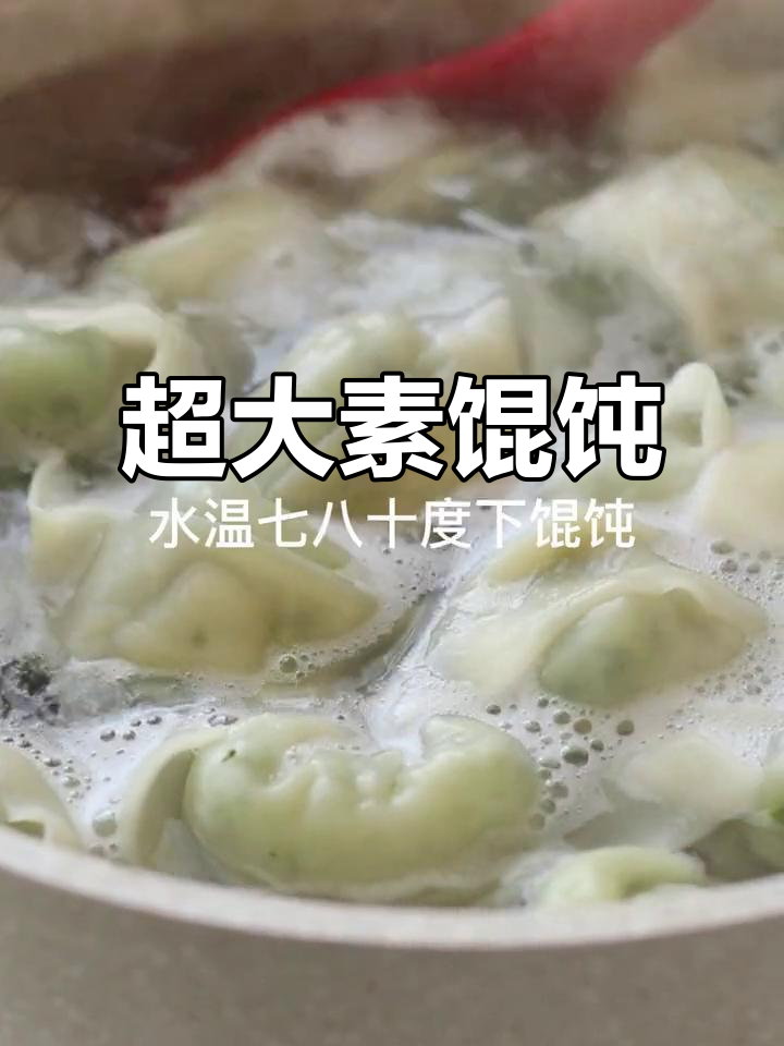 不想做饭?超大纯素馄饨,轻松搞定一日三餐