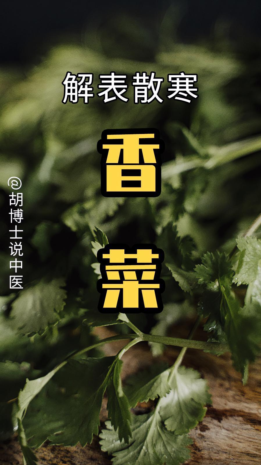 香菜也能治感冒,试试 香菜粥 新冠防治中如何使用中医药 风寒感冒 手把手让你更健康 胡博士