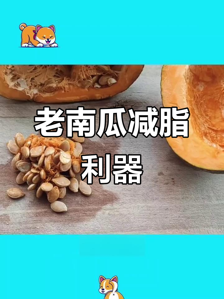 低热量老南瓜,减脂期主食首选!
