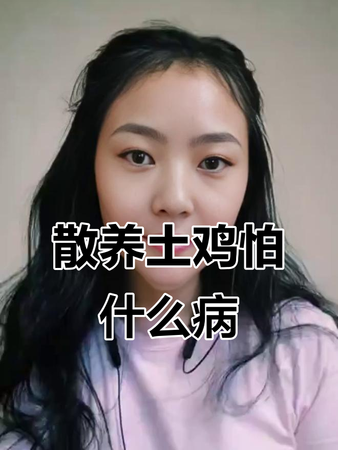 散养土鸡最怕的三大疾病,如何预防?