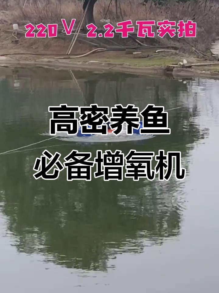 2.2千瓦水中皇增氧机,助力高密度养殖