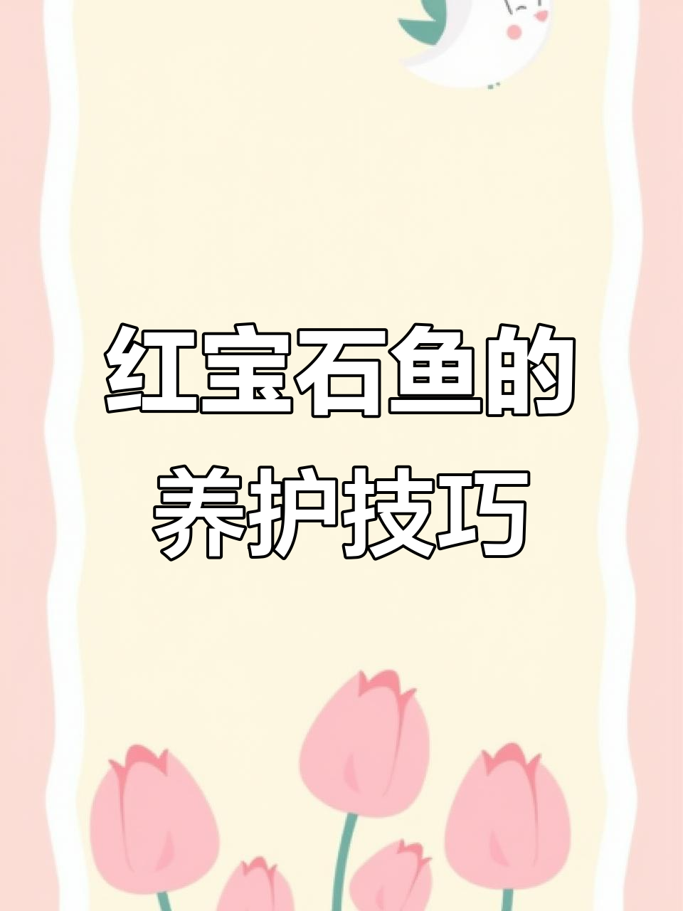 红宝石鱼：美丽热带慈鲷，性格凶猛需小心饲养