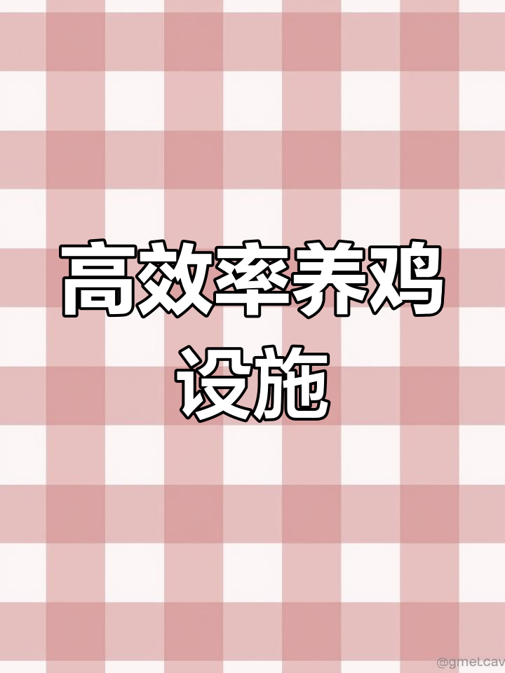 3万只蛋鸡养殖设备配置解析