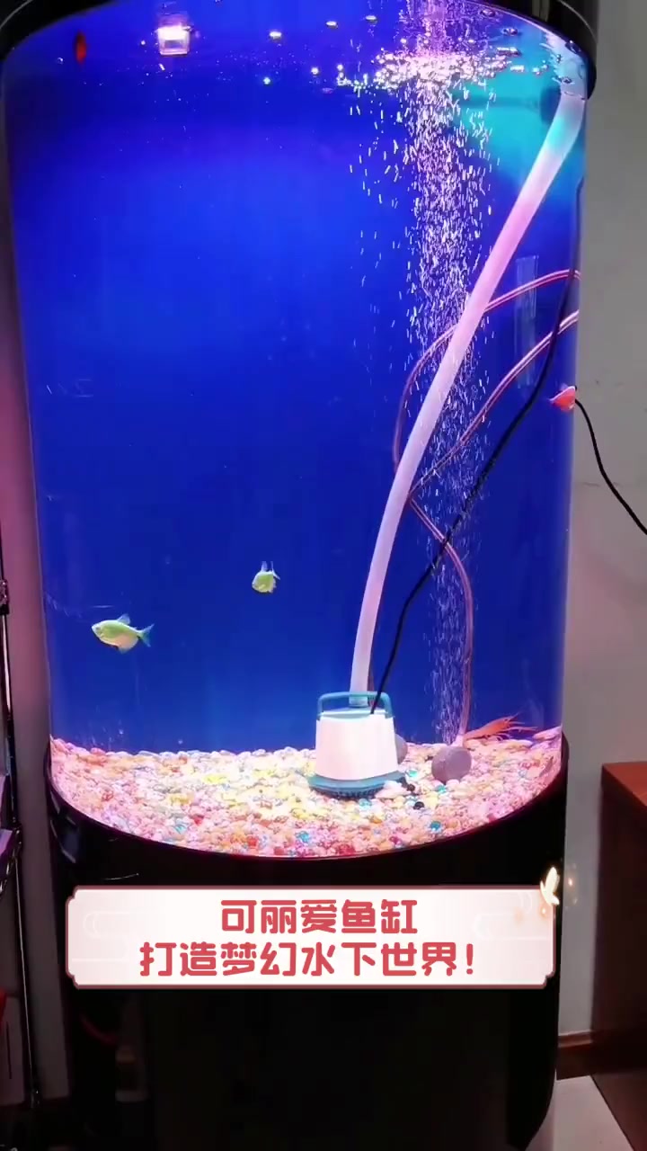 可丽爱鱼缸,打造梦幻水下世界!
