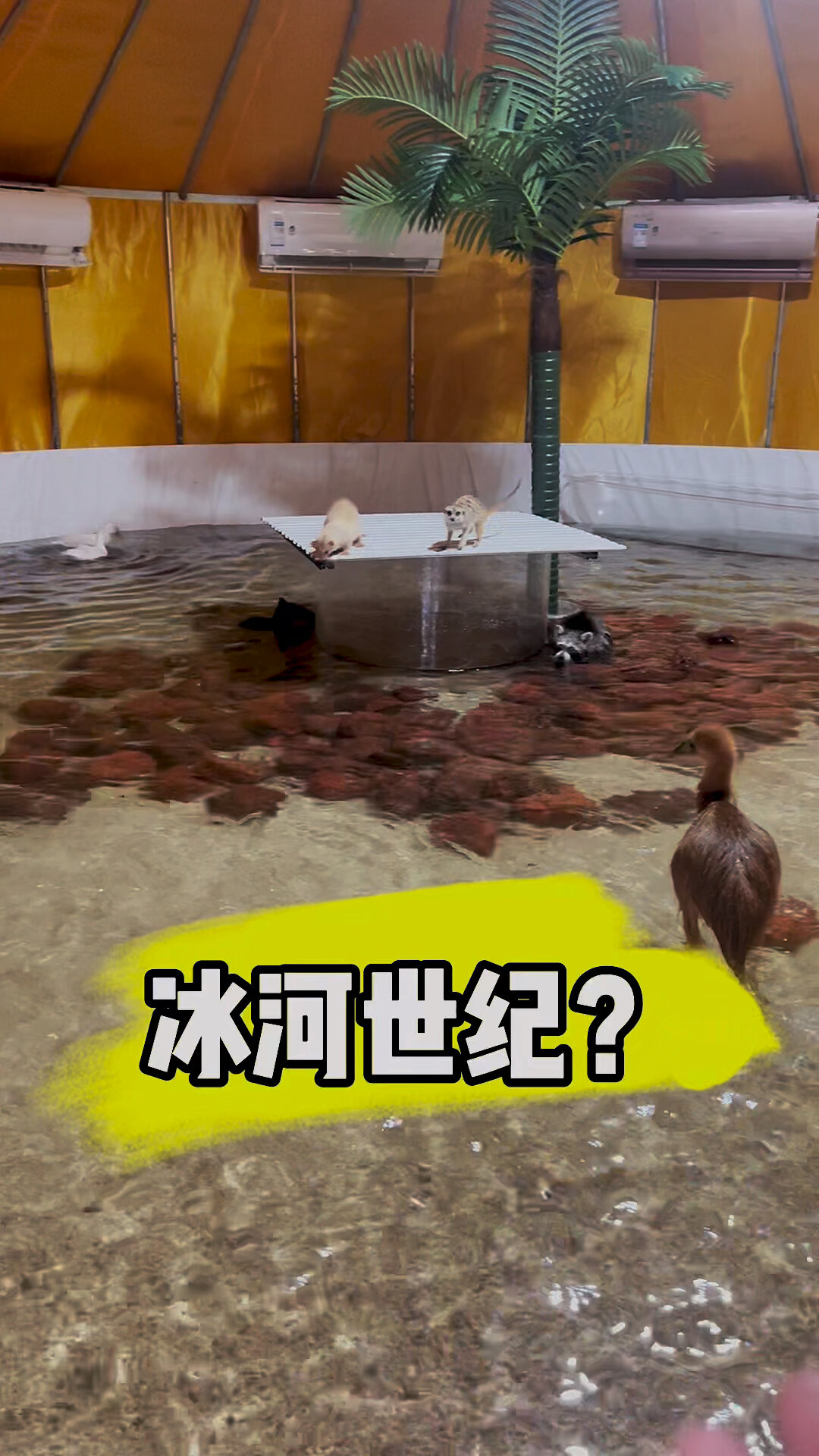 蒙古包鲨鱼池