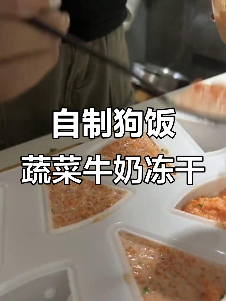 蔬菜冻干教程：狗狗夏日清凉零食制作