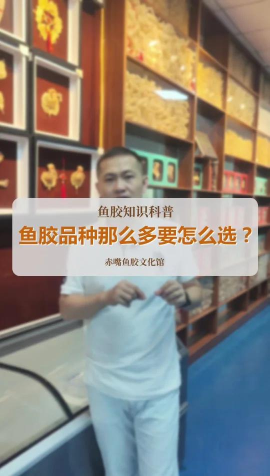 鱼胶品种如何选择?